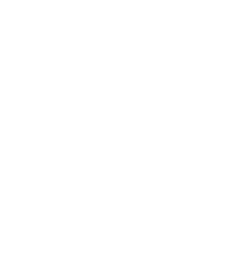 VM